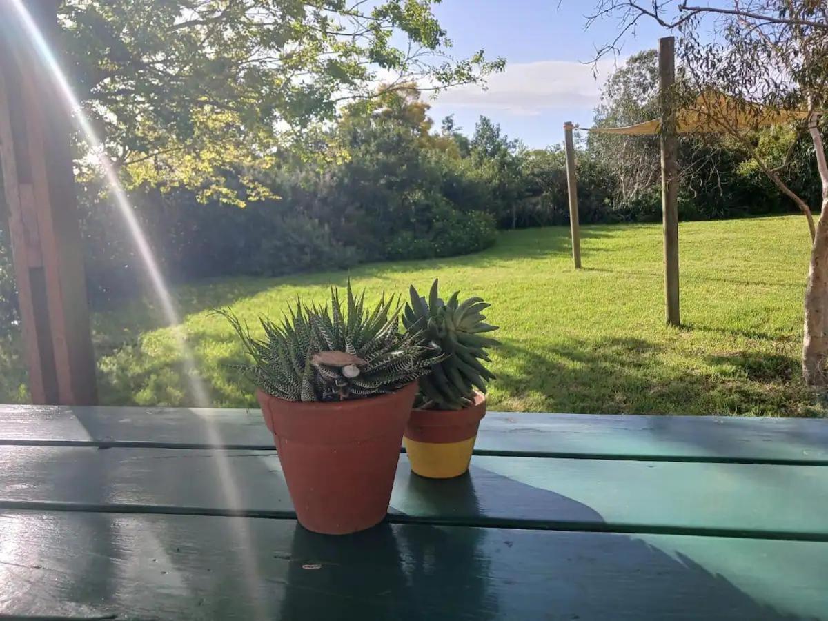 Arkelshoek Cottages Stellenbosch Buitenkant foto