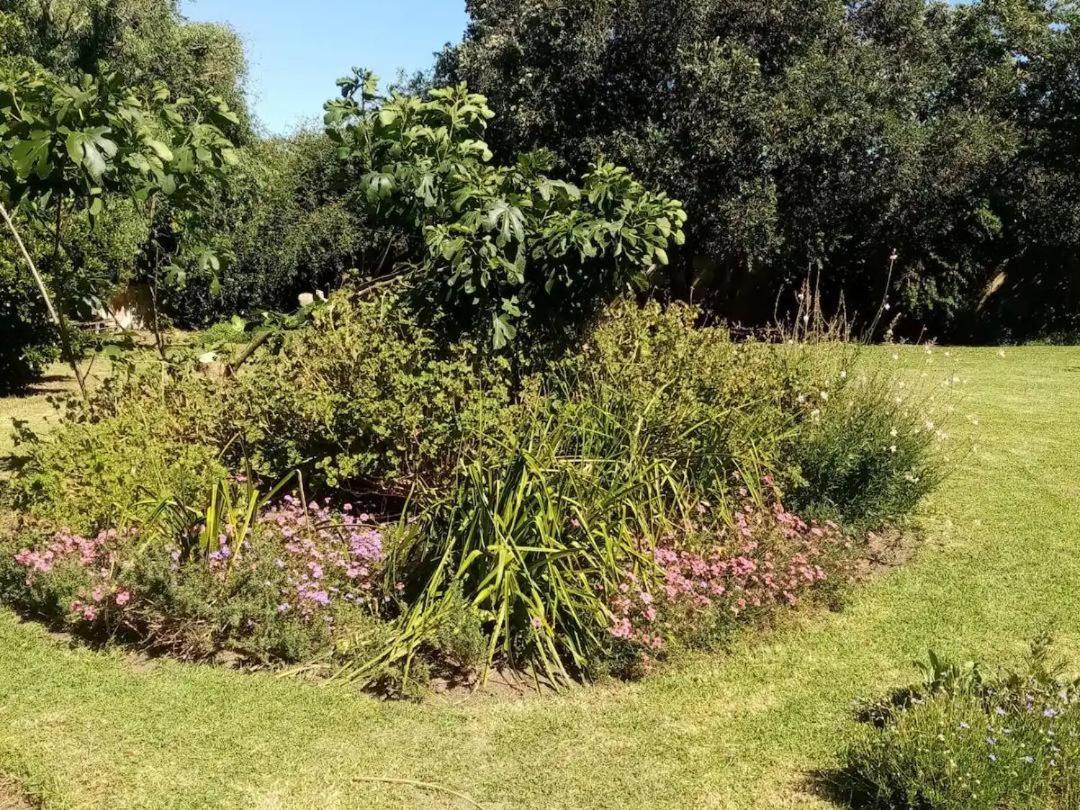 Arkelshoek Cottages Stellenbosch Kamer foto